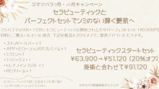 しみ治療　セラピューティック＋エレクトロポレーション