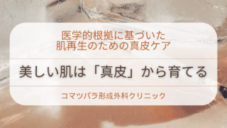 美しい肌は「真皮」から育てる①
