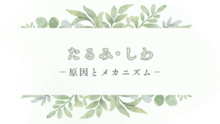 たるみ・しわ　ー原因とメカニズムー
