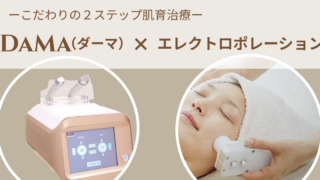 DAMA×エレクトロポレーション